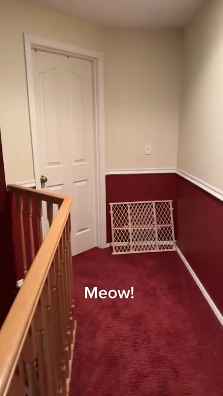 Exorcism would be an option