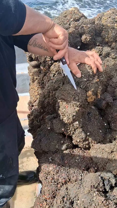 In Chile, it is called 