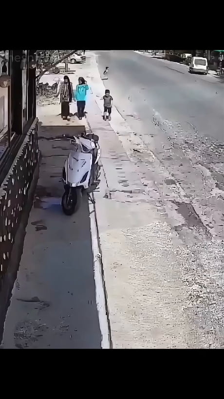 Purrrfect save0