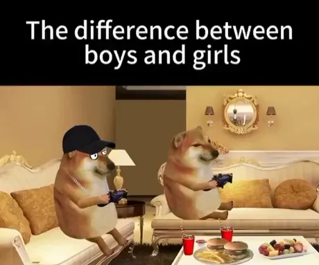 Doge Girl Memes