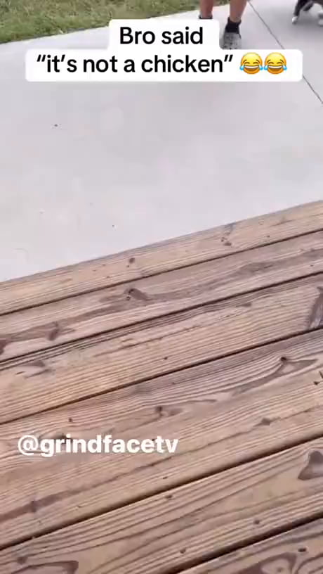 Good to see kids being kids again.