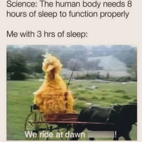 Best Funny Sleep Deprivation Memes 9gag