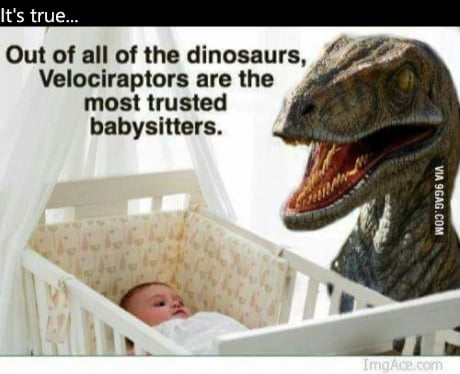 Best Funny raptor Memes - 9GAG