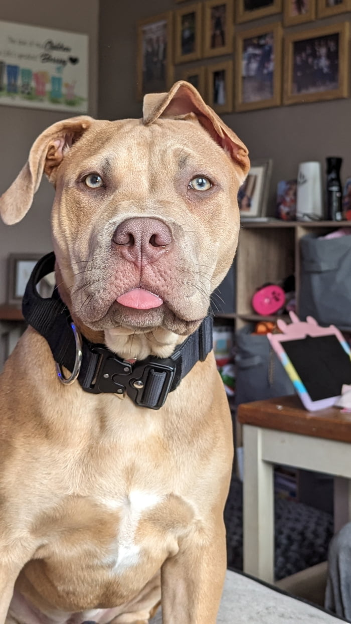 She's so photogenic 9GAG