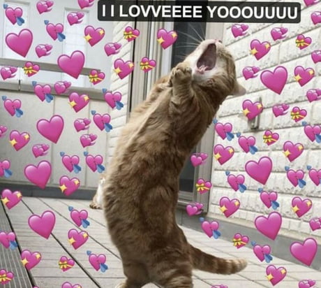 Best Funny flirty memes Memes - 9GAG