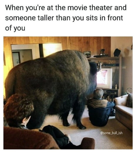 Best Funny bison Memes - 9GAG