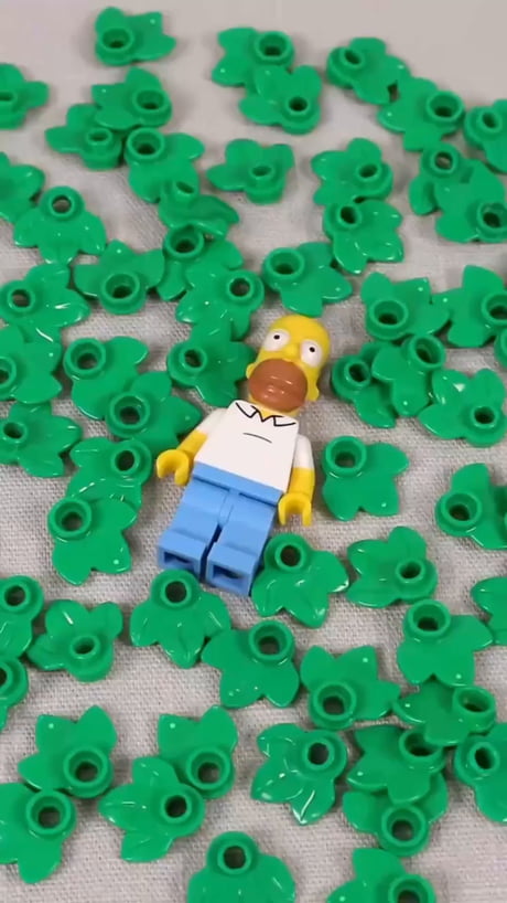 Homer lego meme