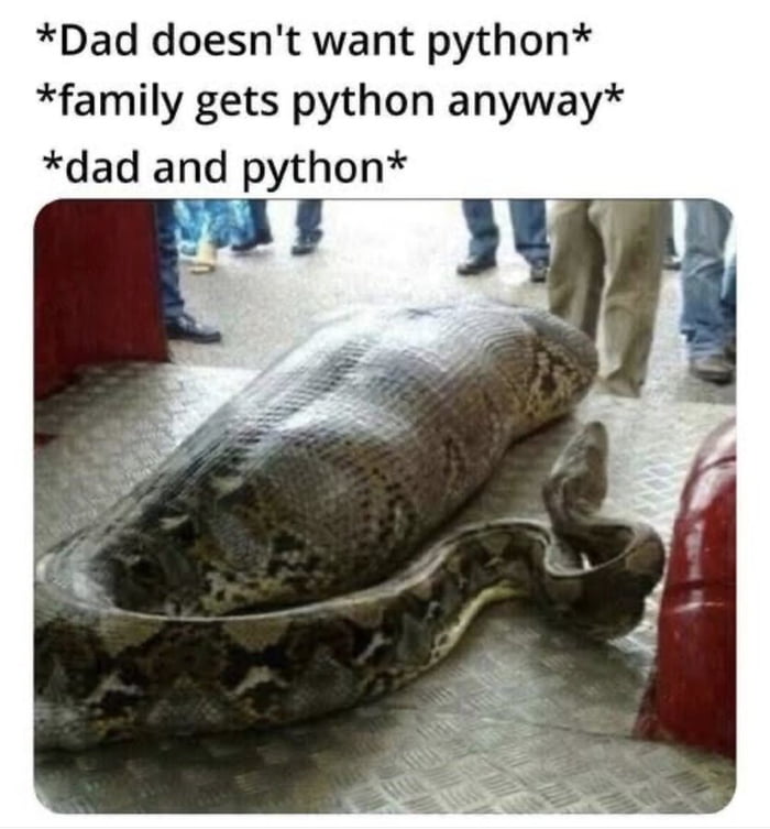 Can't get drunk and fall asleep around pythons. Its a bad idea. - 9GAG