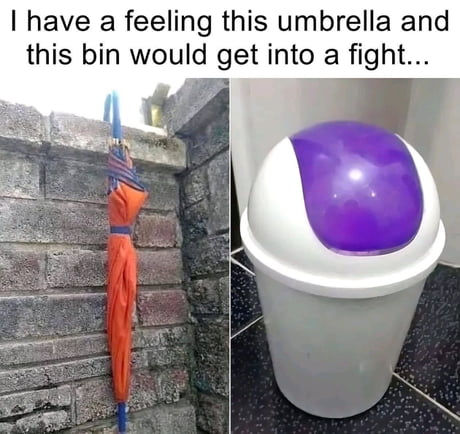 Best Funny bin Memes - 9GAG