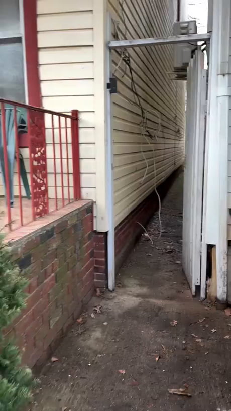 When Cat Naps Meet Vintage Chic