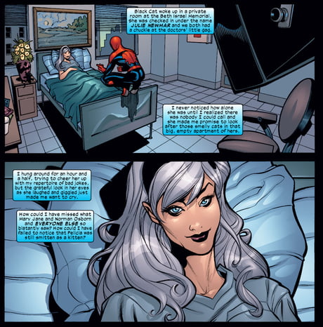 Spider-Man & Black Cat (Marvel Knights: Spider-Man #12) - 9GAG