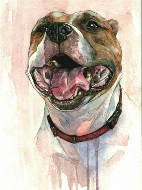 Painted my friends doggo who passed away in Watercolor, she was very sweet