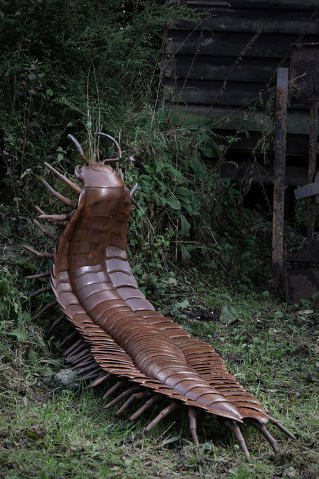 Replication of Arthropleura, 10ft Millipedes That Lived About 300 Million  Years Ago - 9GAG