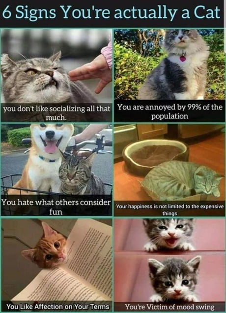 Enjoy Your Sunday - 9GAG Enjoy Your Sunday - 9GAG