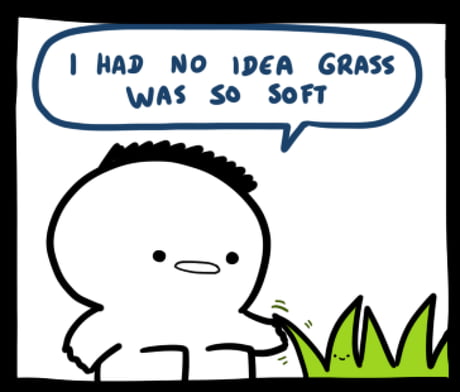 Touch grass - 9GAG