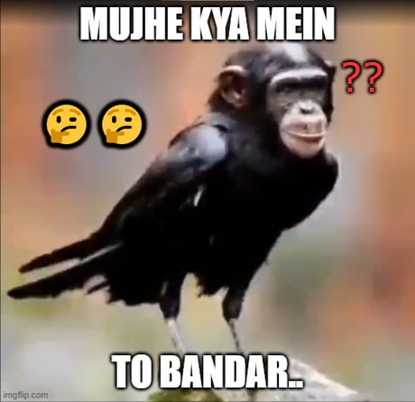 Best Funny monkey Memes - 9GAG