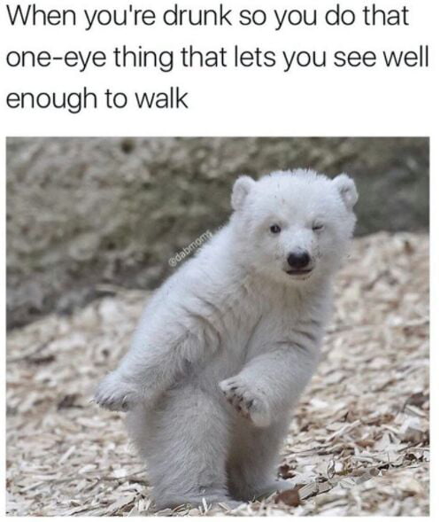 But you can bear-ly see like that !