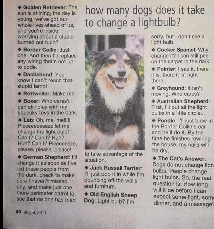How many dogs does it take to change a lightbulb? 9GAG