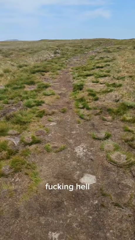 You should go hiking. Its such lovely weather