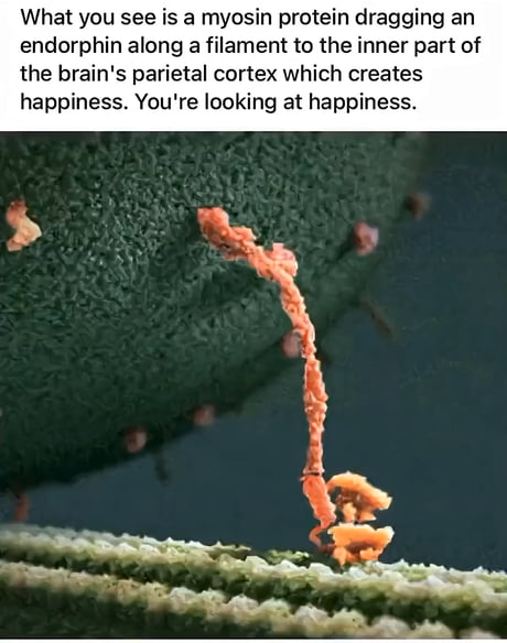 Don't worry, be happy.