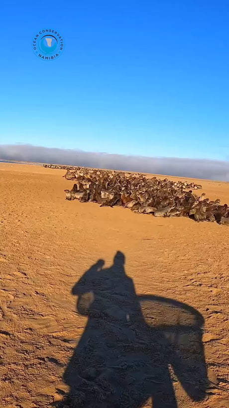 Fast strong almost doomed