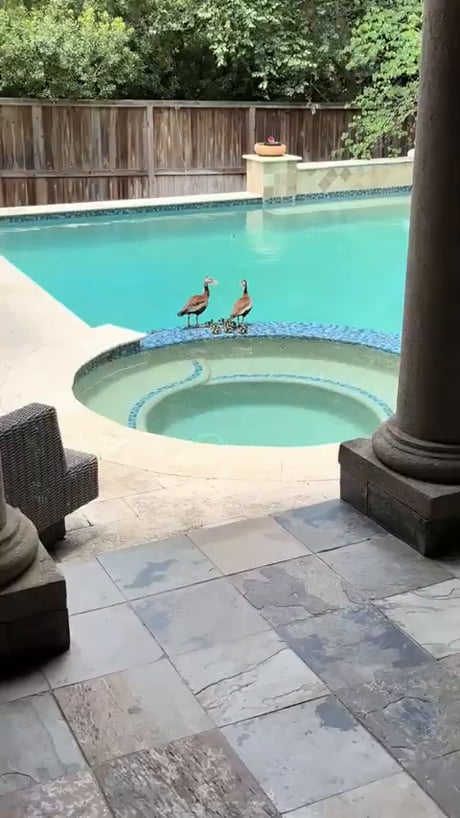 It must have one foot bigger than the other