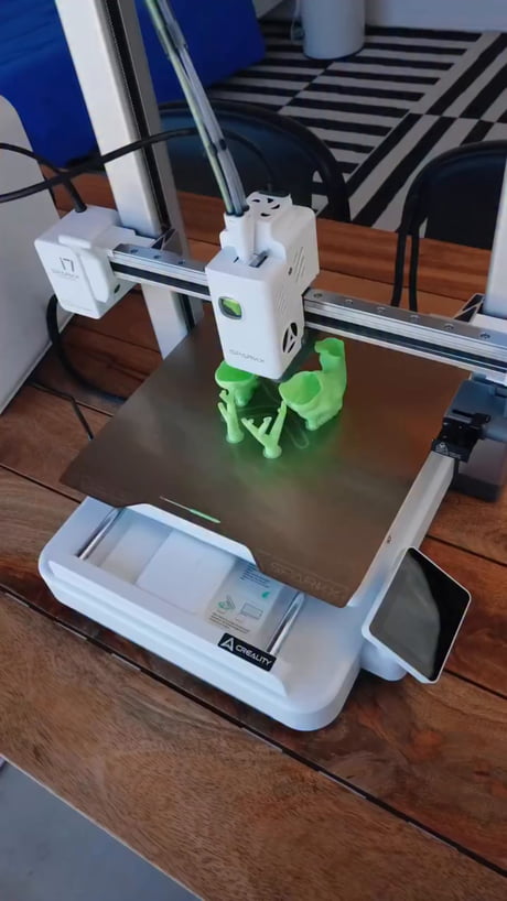 This .... is a nice duck