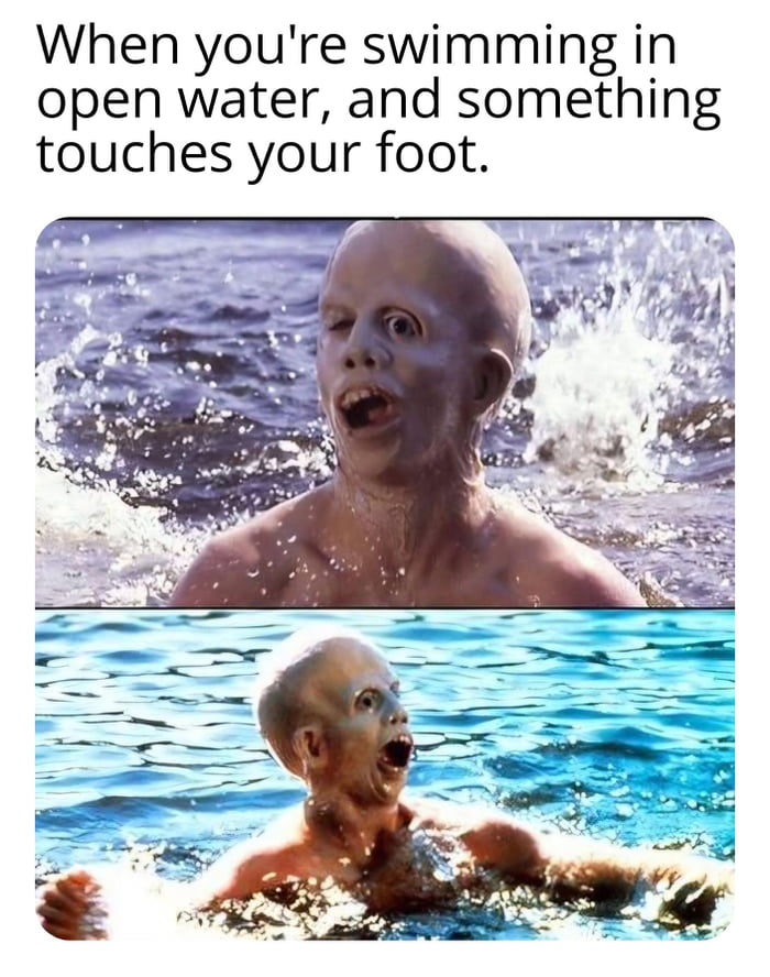 Calm, Assertive Energy