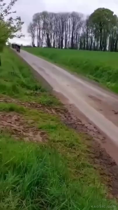 Cyclist salad