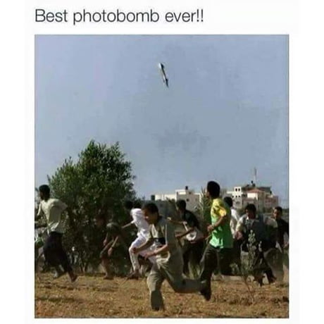best photobombs ever