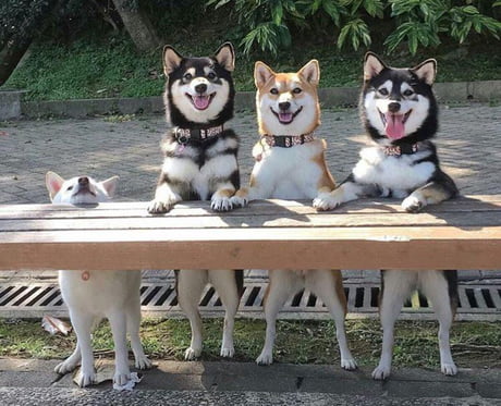 Hanging out with tall handsome friends.
