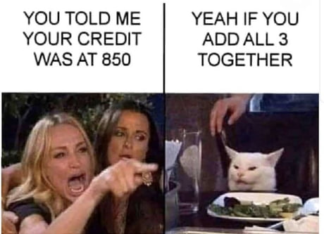 I can relate to this cat’s financial situation. woman yelling at a cat meme boredbat boredbat.com