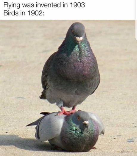 Hehe boiii