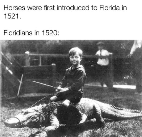 This can't be Florida man??? - 9GAG