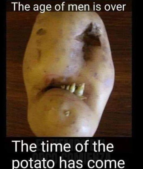 Best Funny potato Memes - 9GAG