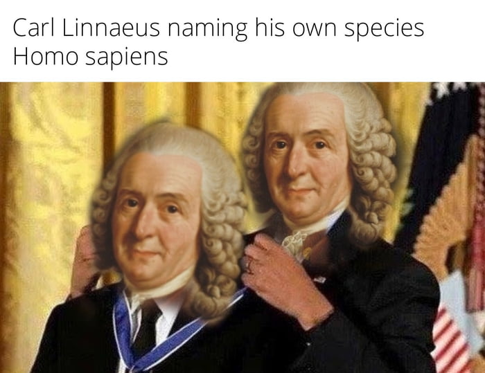 Good thing i had to learn latin at school 9gag
