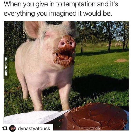 Scat Pig