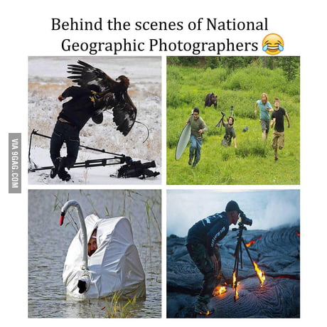 NatGeo be like: - 9GAG