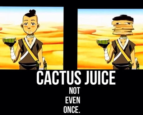 avatar the last airbender sokka cactus juice