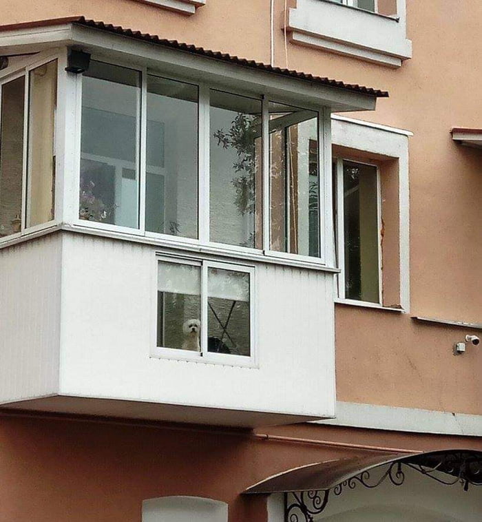 Best balcony ever