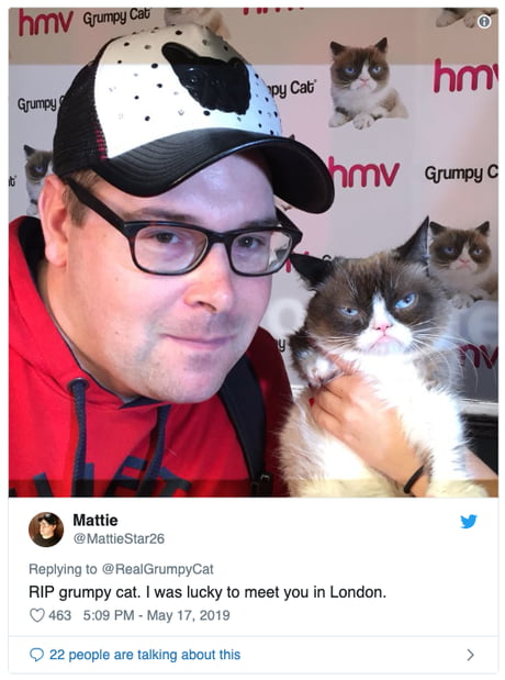 Legendary Grumpy Cat dies at the age of 7; Internet pays homage to