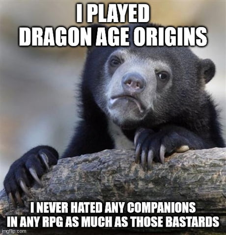 Companions of Dragon Age: Origins - Imgflip
