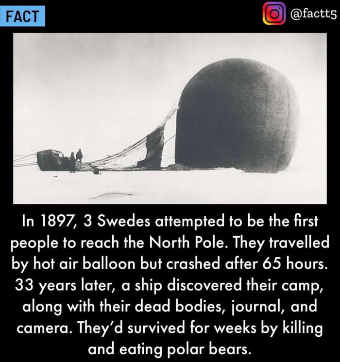 Stupid but balls of iron 9GAG