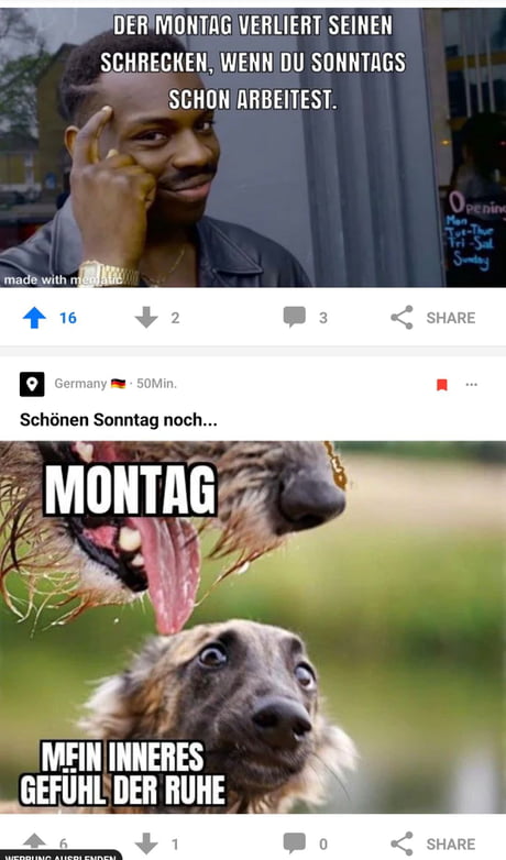 Montag Meme