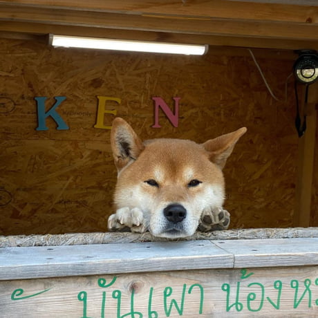 Dog's Roasted Sweet Potato Stand - Gastro Obscura