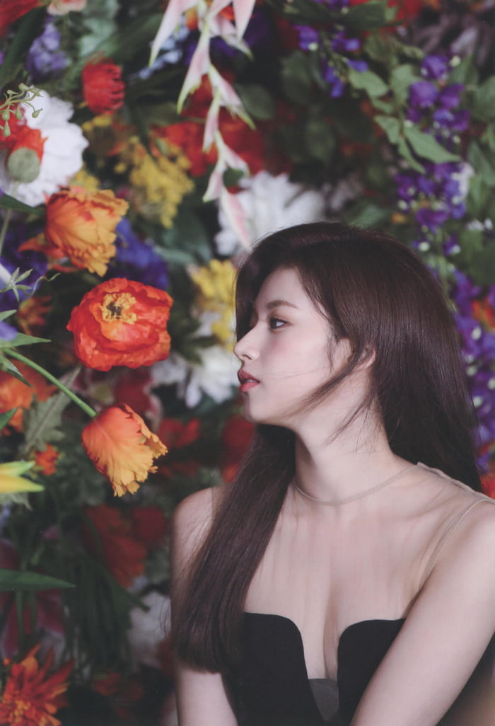 Photo : Sana