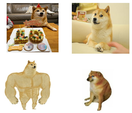 Shibe Meme Birthday