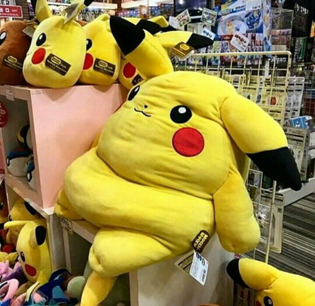 Who Is That Pokemon 9gag