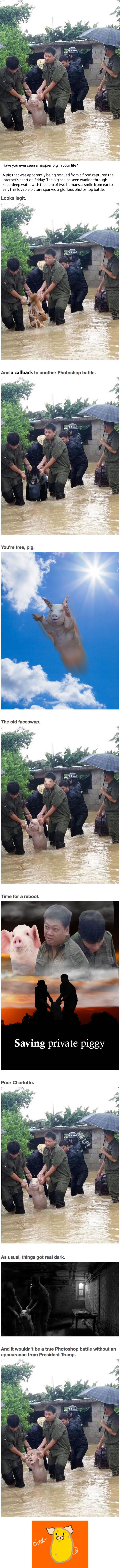 A Joyful Pig Getting Rescued From A Flood Becomes A Huge Meme Inspiration
