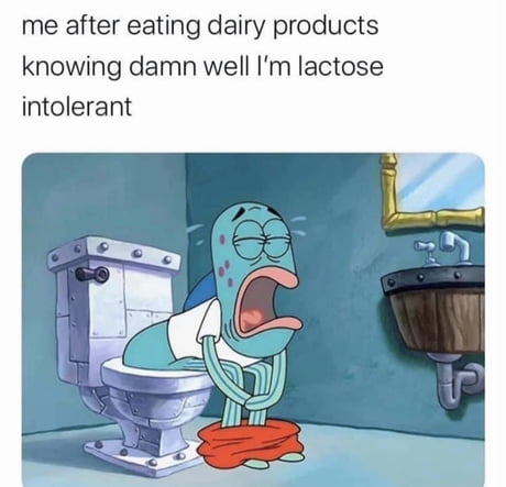 I m lactose intolerant